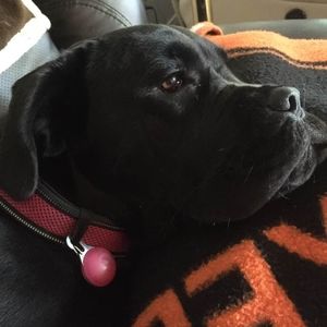 Meet your Posher, Deanna